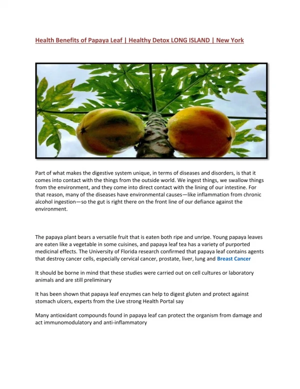 Health Benefits of Papaya Leaf | Healthy Detox LONG ISLAND | New York