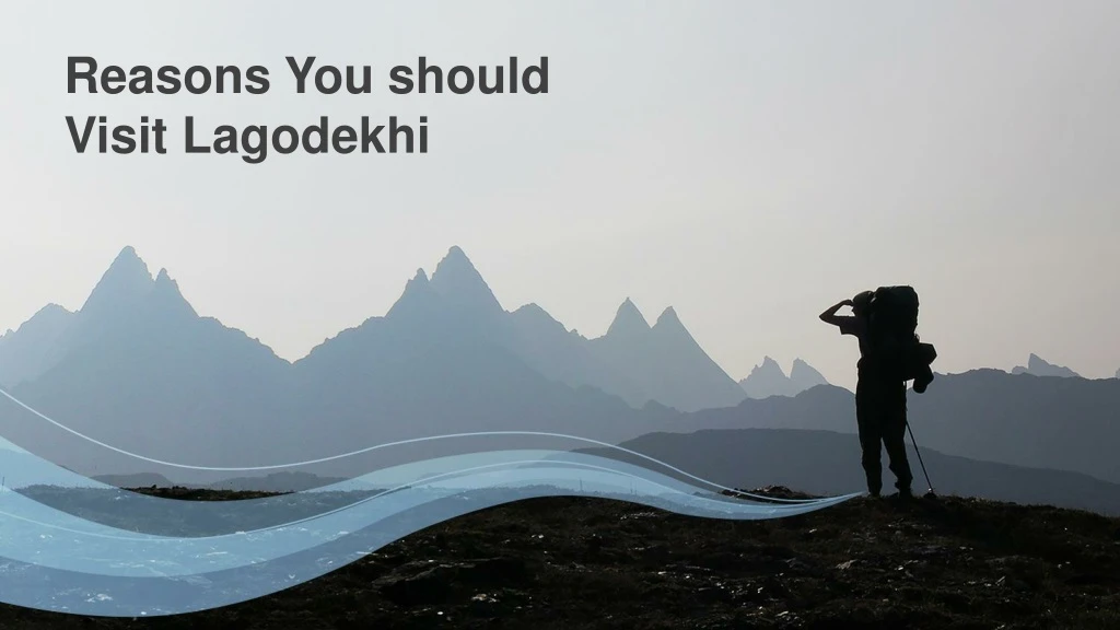 reasons you should visit lagodekhi