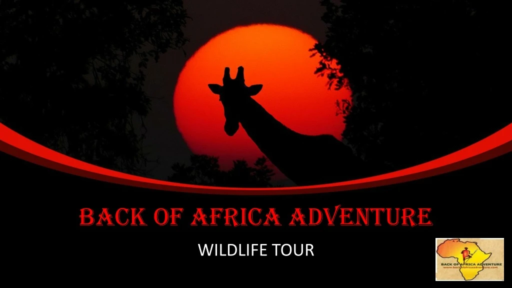 back of africa adventure
