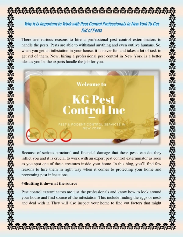 Why It Is Important to Work with Pest Control Professionals In New York To Get Rid of Pests