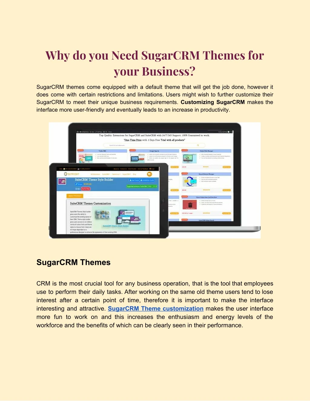 why do you need sugarcrm themes for your business