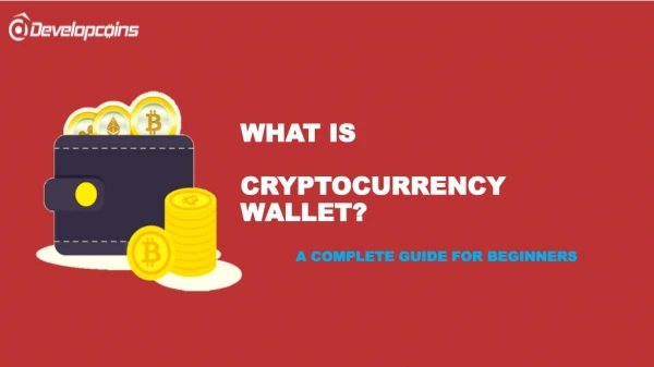 What is Cryptocurrency Wallet? - An Ultimate Guide for Beginners!