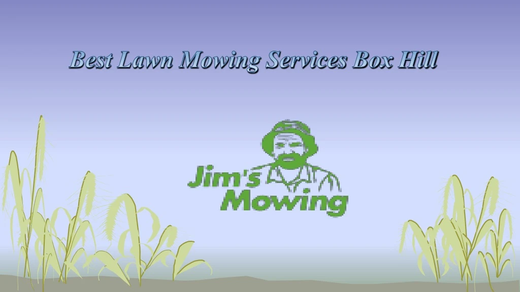 best lawn mowing services box hill