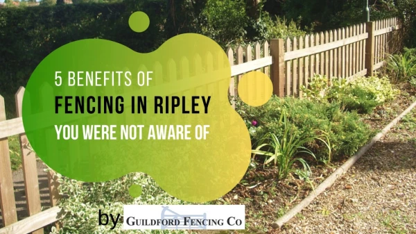 5 Benefits Of Fencing In Ripley You Were Not Aware Of