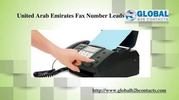 United Arab Emirates Fax Number Leads