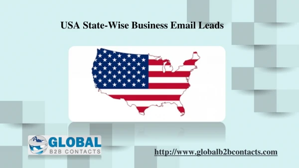 USA State-wise Business Email Leads