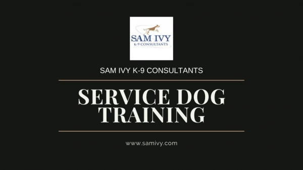 Service Dog Training