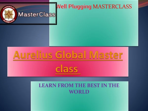 WELL PLUGGING TRAINING Masterclass