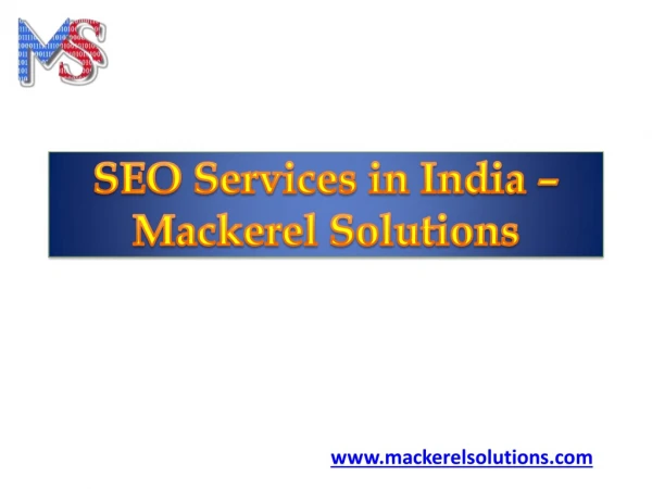Get Ranked with the best SEO Service Company - Mackerel Solutions