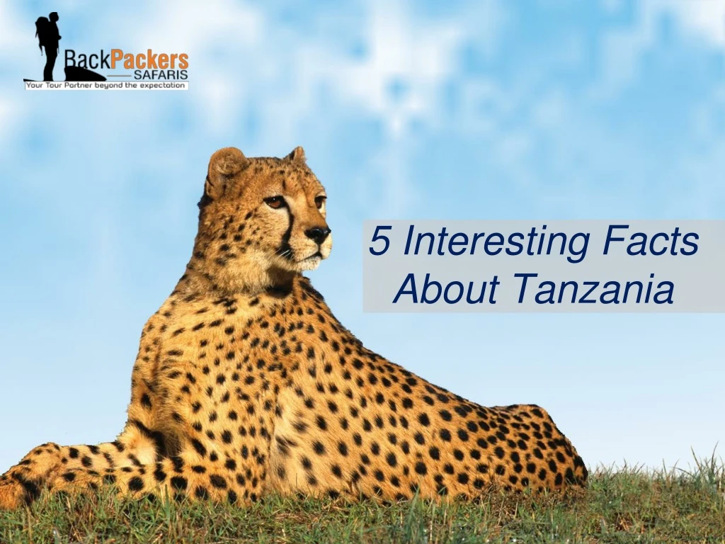 5 interesting facts about tanzania