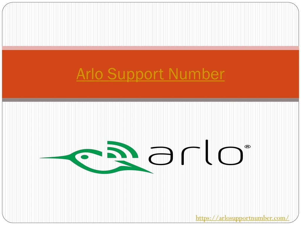 a rlo support number
