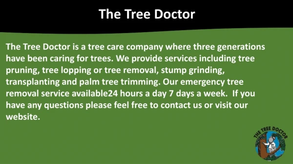 Tree Expert Services in Sydney | The Tree Doctor
