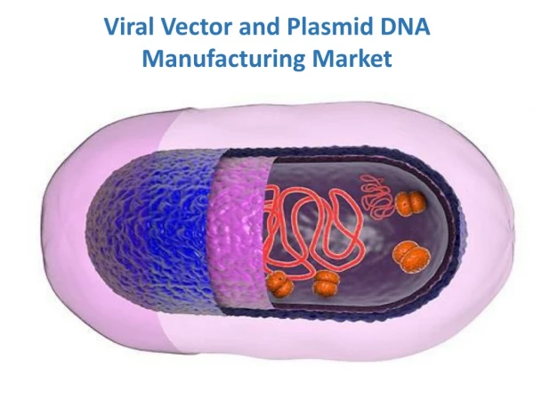 Viral Vector and Plasmid DNA Manufacturing Market Challenges and New Trends