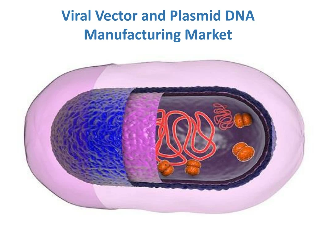 viral vector and plasmid dna manufacturing market