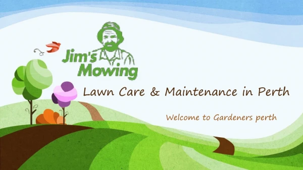Lawn Care & Maintenance in Perth