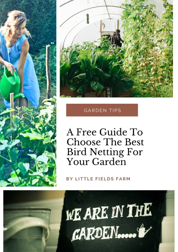 A Free Guide To Choose The Best Bird Netting For Your Garden