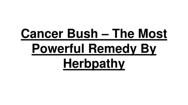Cancer Bush – The Most Powerful Remedy by Herbpathy