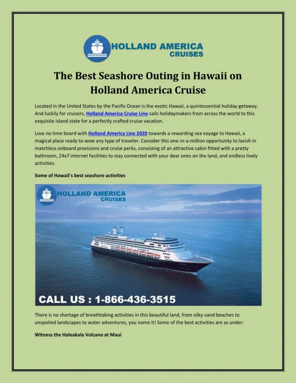 The Best Seashore Outing in Hawaii on Holland America Cruise