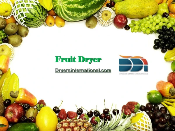 Fruit Dryer