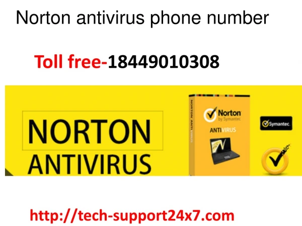 Norton antivirus support phone number usa