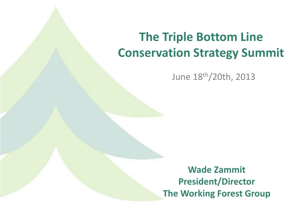 the triple bottom line conservation strategy summit