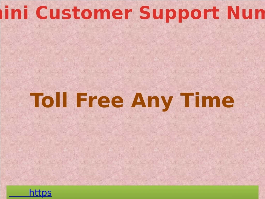 gemini customer support number