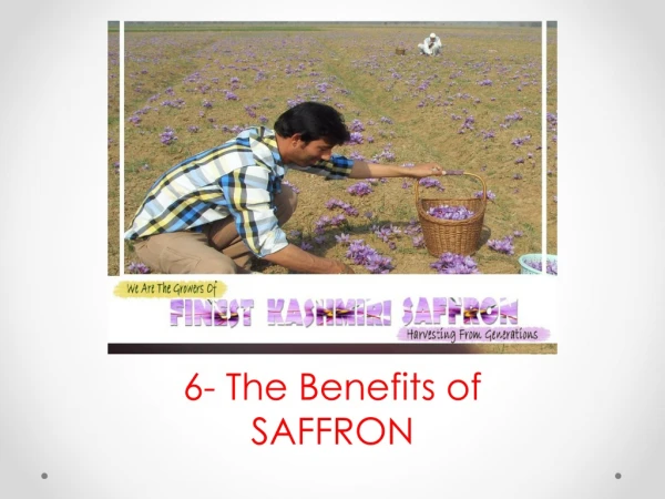 6- The Benefits of SAFFRON