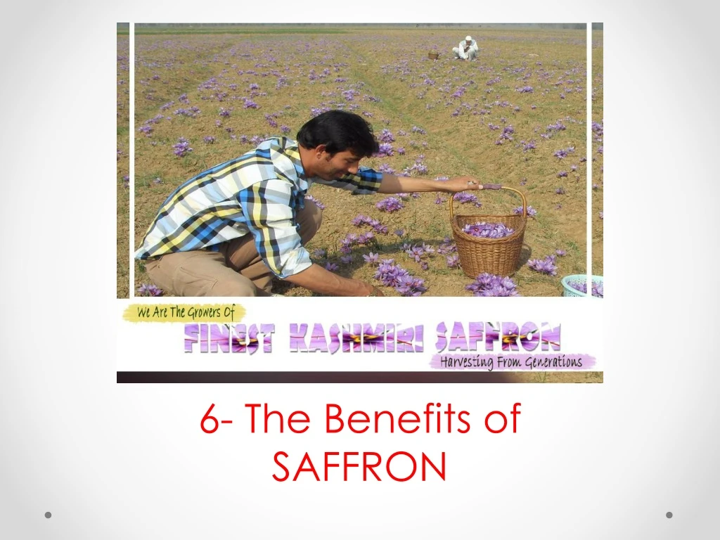 6 the benefits of saffron