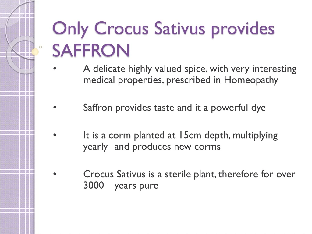 only crocus sativus provides saffron