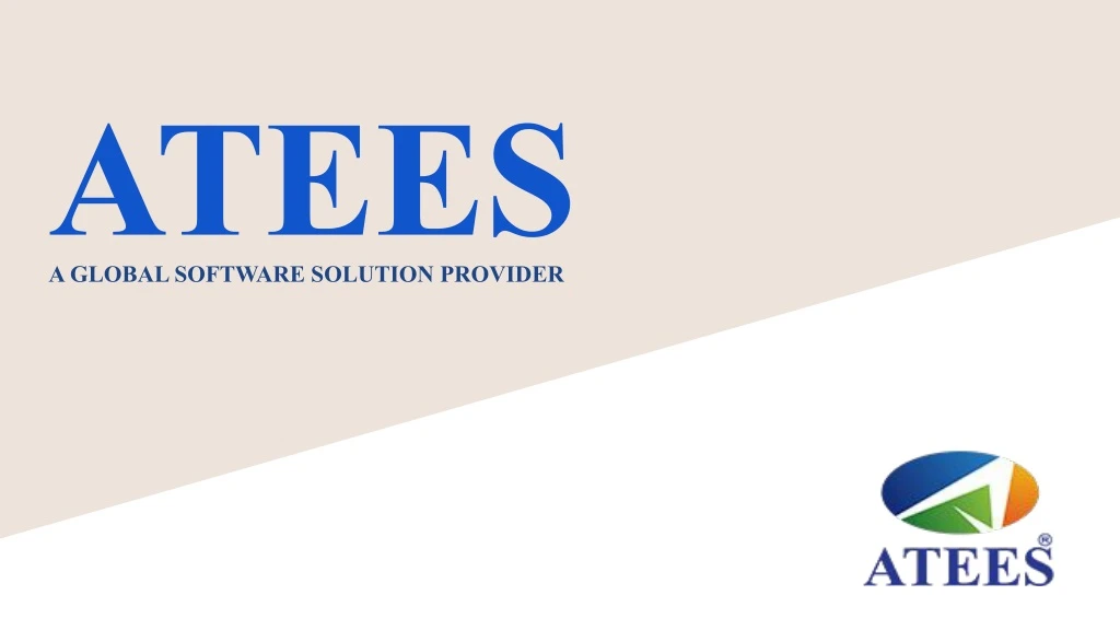 atees a global software solution provider