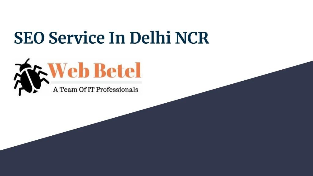seo service in delhi ncr