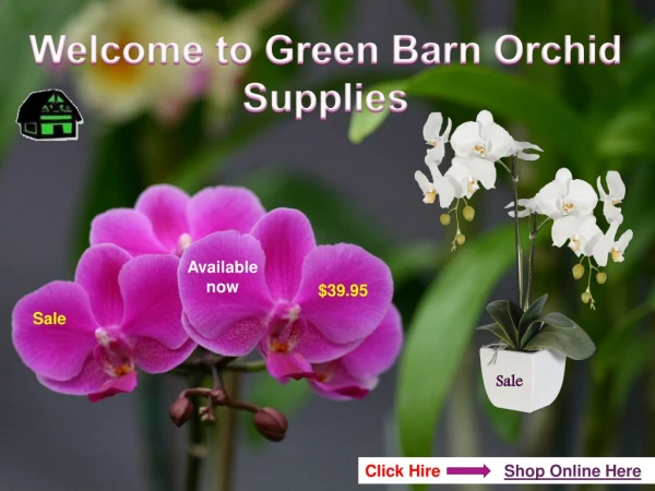 Green Barn Orchid Supplies