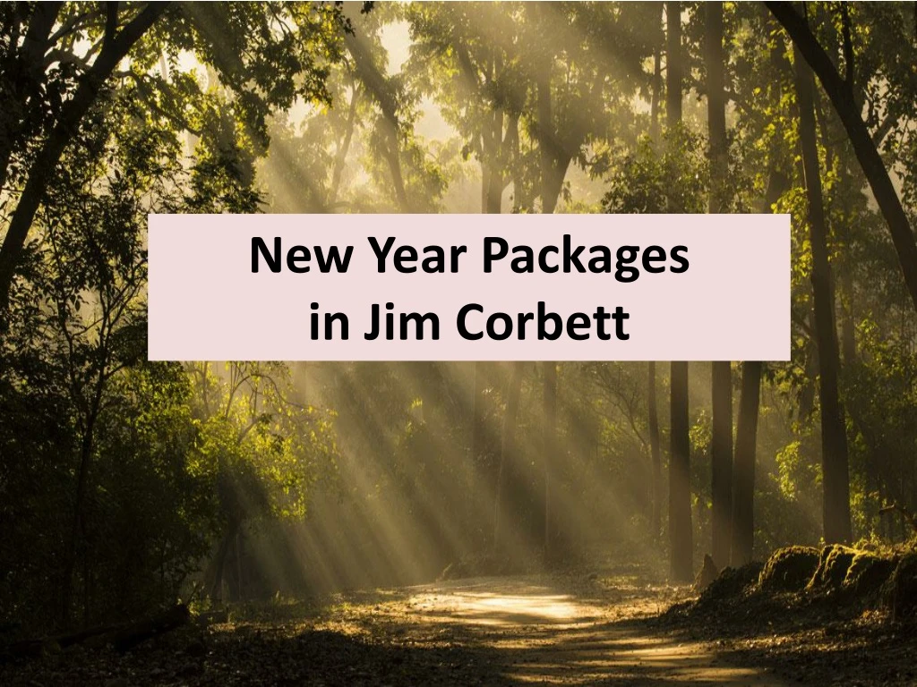 new year packages in jim corbett