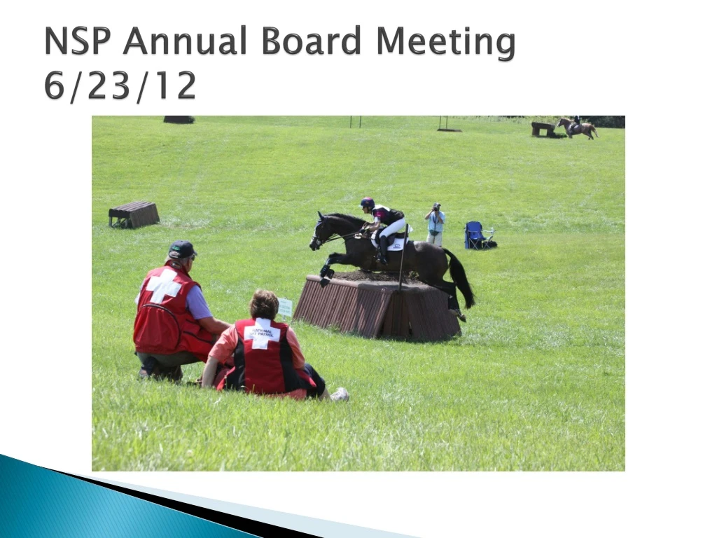 nsp annual board meeting 6 23 12