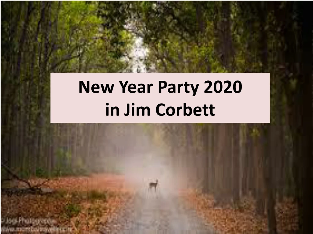 new year party 2020 in jim corbett