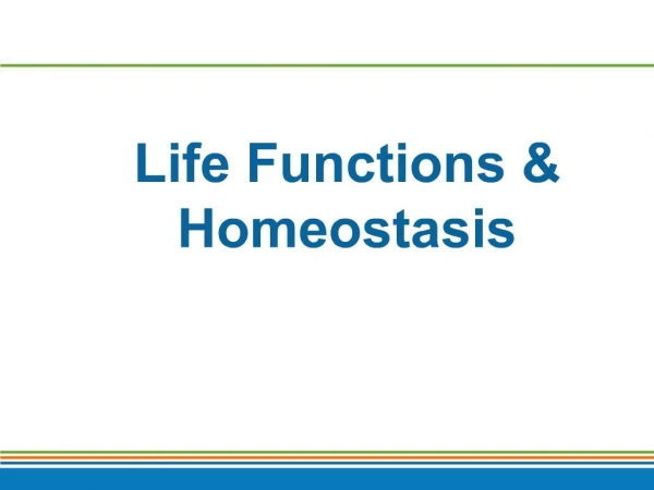 Life Functions Homeostasis