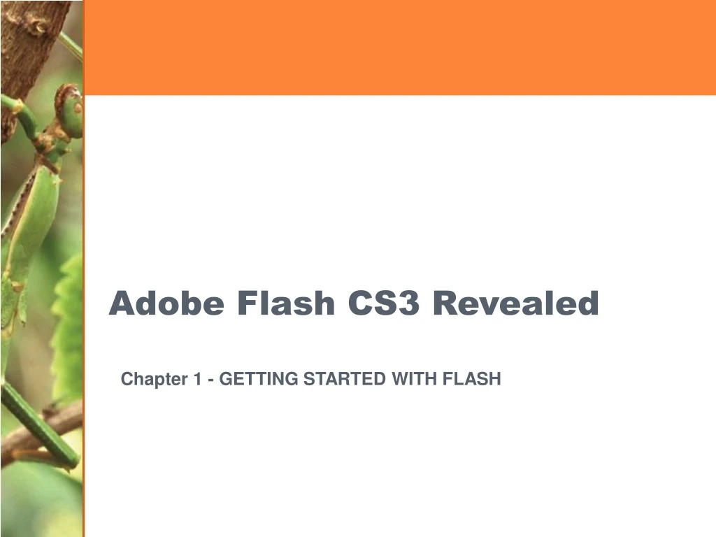 adobe flash cs3 revealed