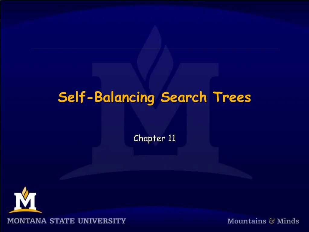 self balancing search trees