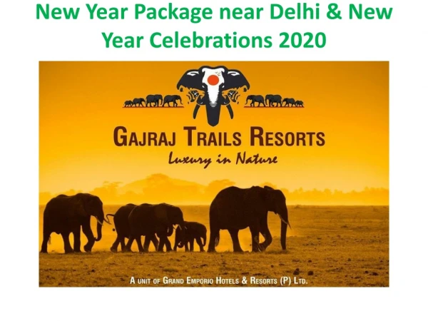 New Year Packages 2020 in Jimcorbett | New Year party 2020
