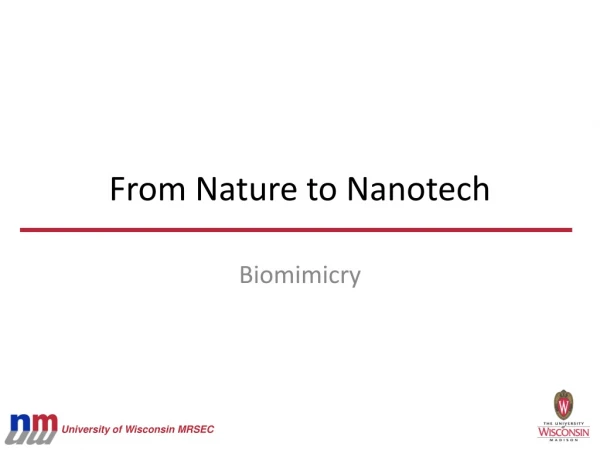 From Nature to Nanotech
