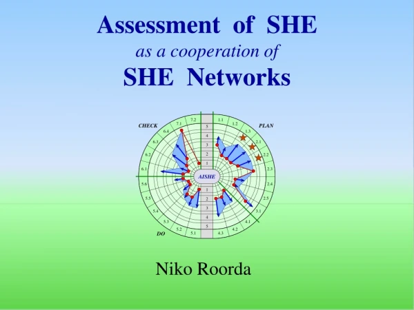 Assessment of SHE as a cooperation of SHE Networks