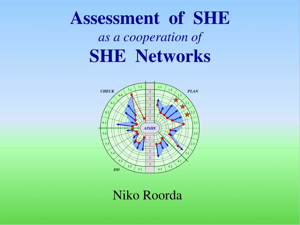 assessment of she as a cooperation of she networks
