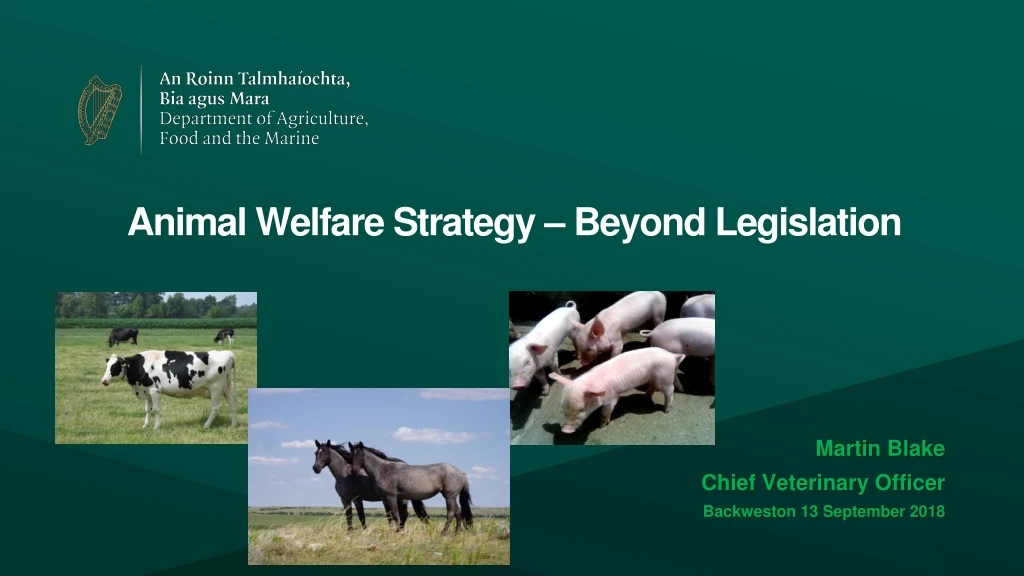 animal welfare strategy beyond legislation