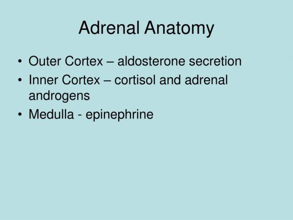 Adrenal Anatomy