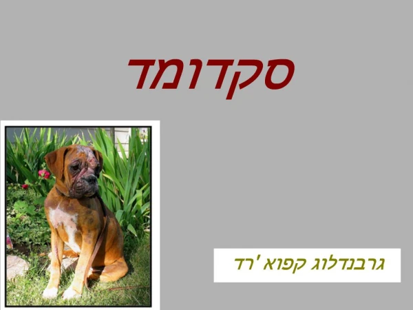 slide1