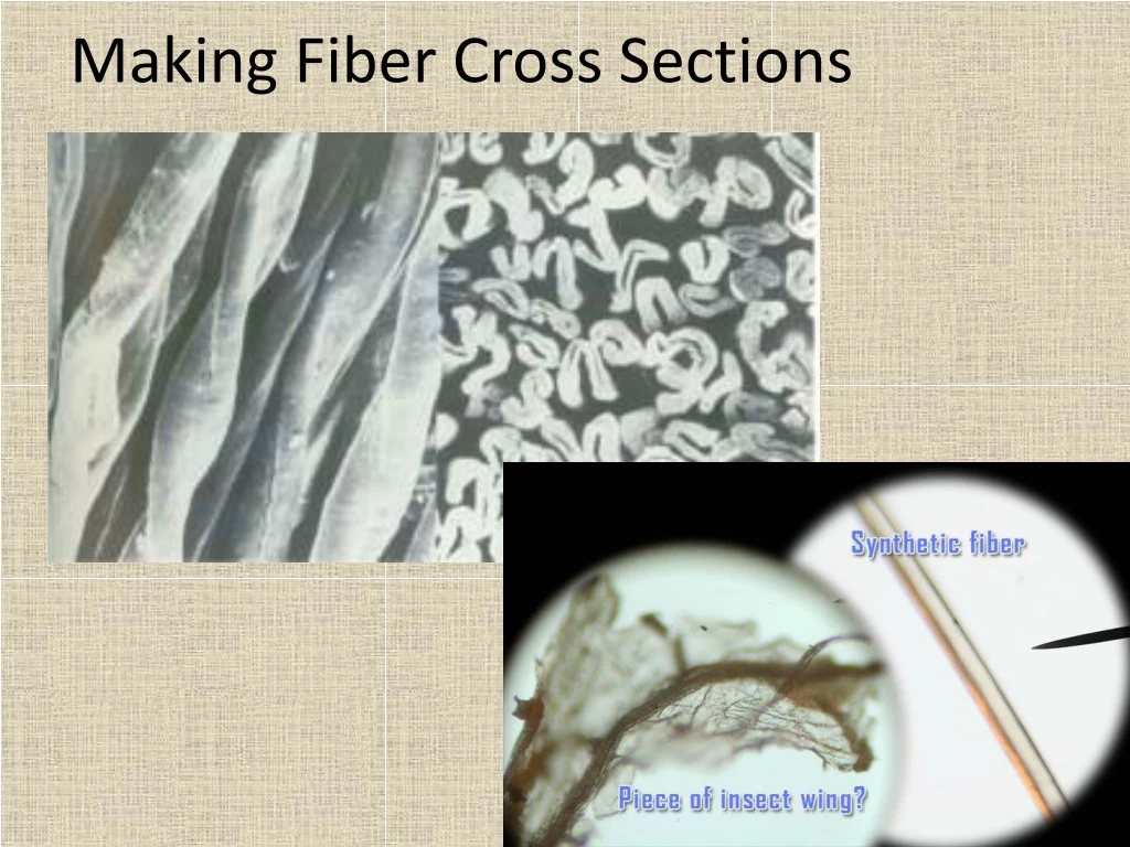 making fiber cross sections