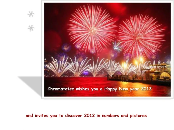 Chromatotec wishes you a Happy New year 2013