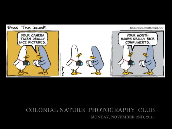 Colonial Nature Photography Club