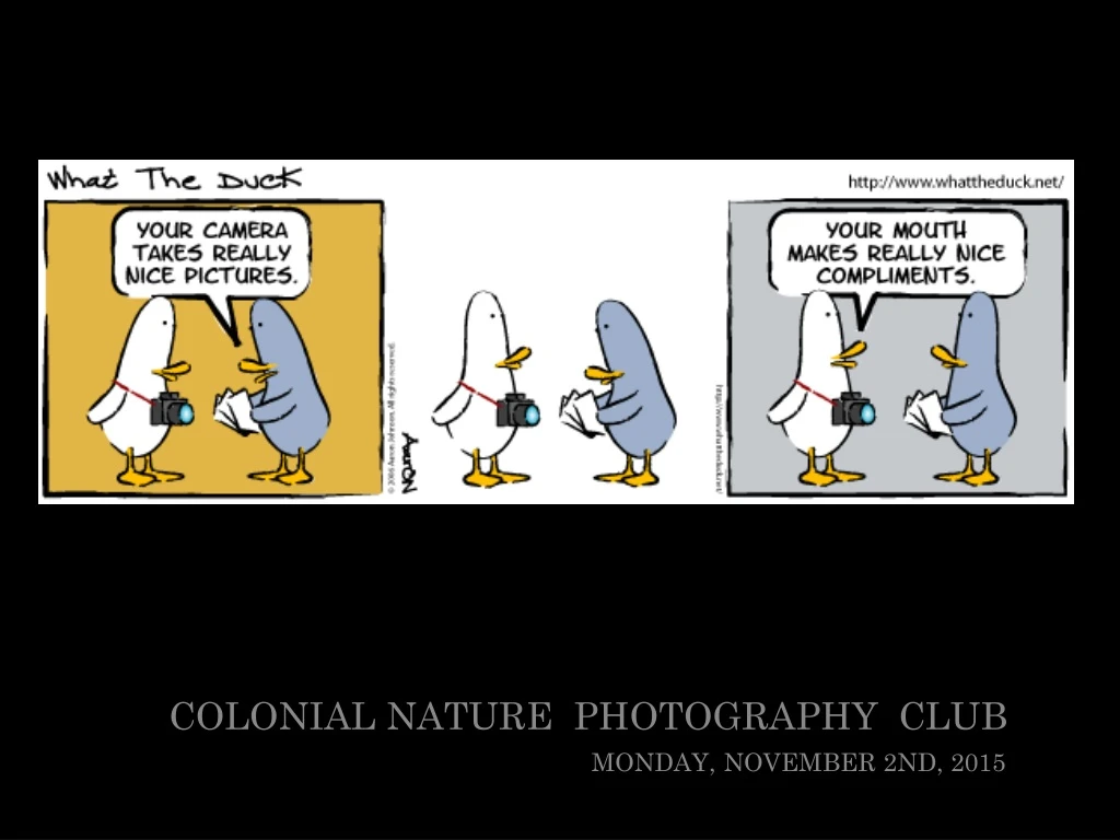 colonial nature photography club