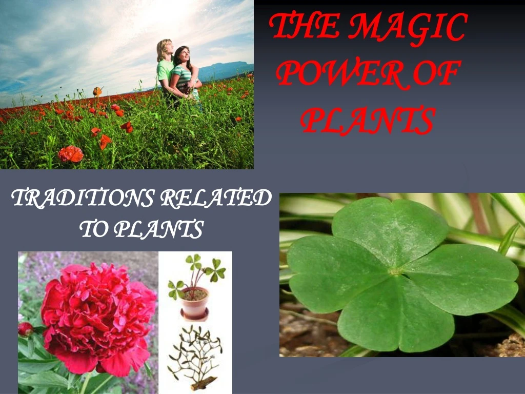 the magic power of plants